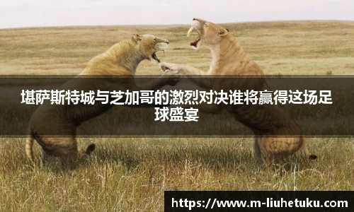 堪萨斯特城与芝加哥的激烈对决谁将赢得这场足球盛宴