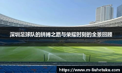 深圳足球队的拼搏之路与荣耀时刻的全景回顾